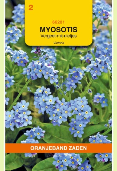 Forget-me-not Victoria Blue (Myosotis) 350 seeds